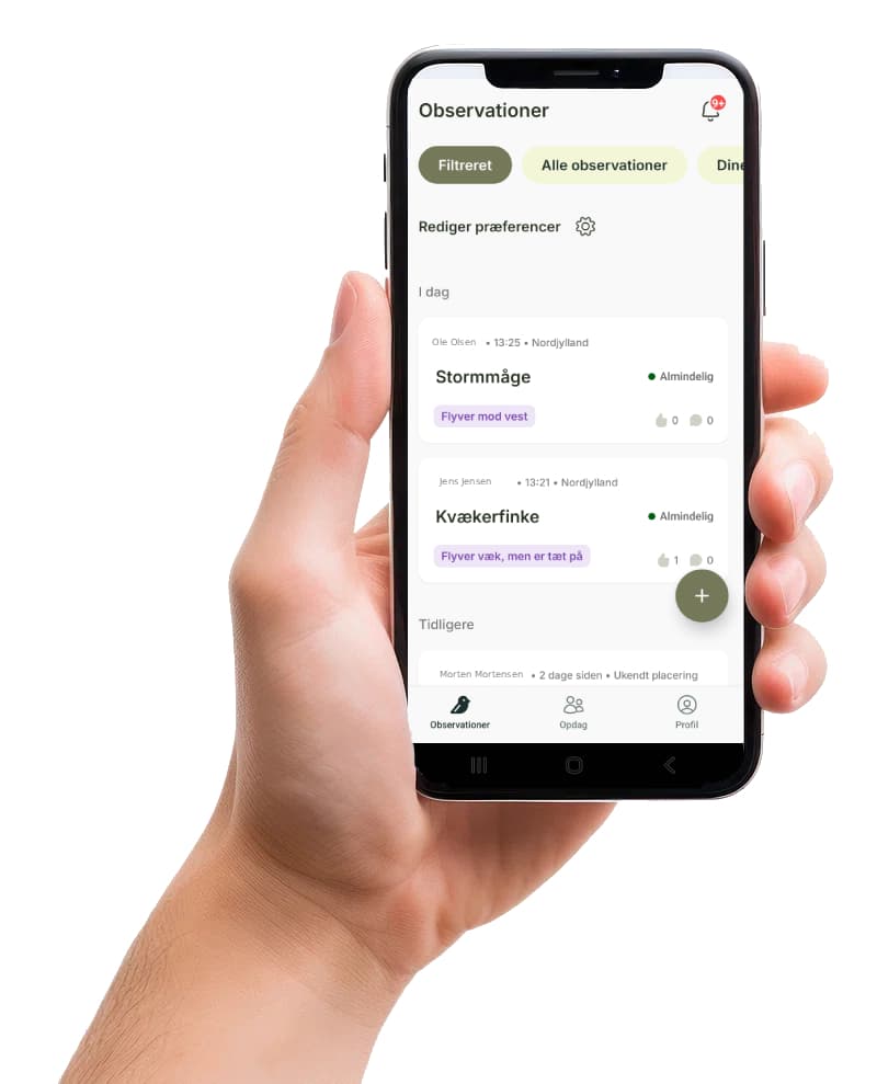 BirdSpot App Preview